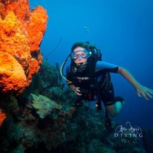 Meet your Posher, Sandi